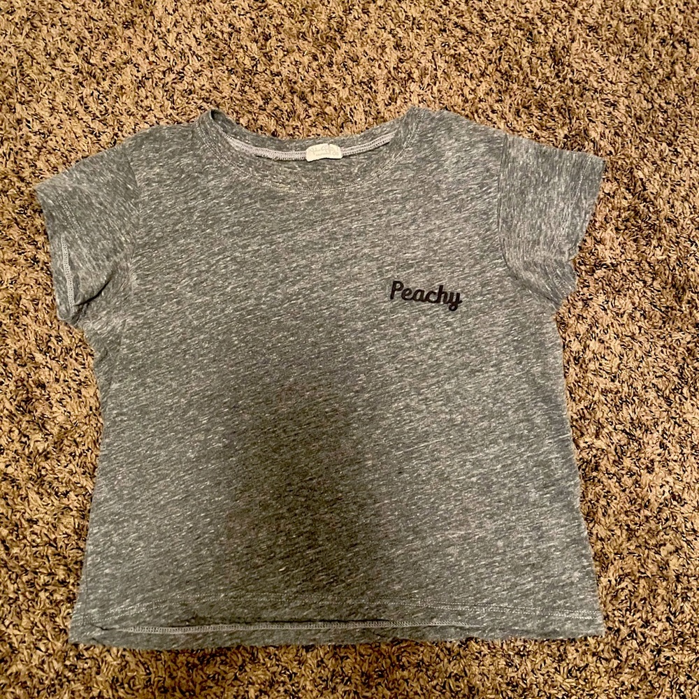 Pacsun gray cropped tshirt